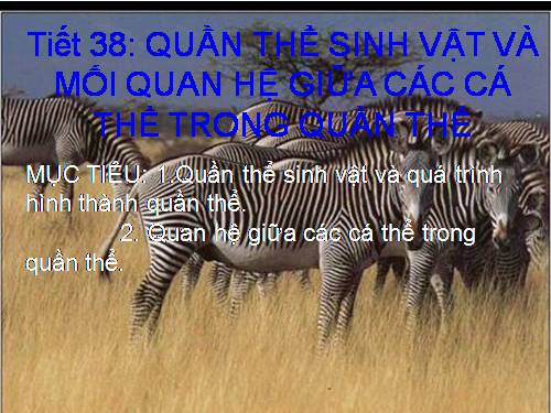 Bài 36. Quần thể sinh vật và mối quan hệ giữa các cá thể trong quần thể