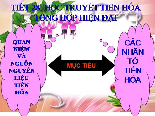 Bài 26. Học thuyết tiến hoá tổng hợp hiện đại