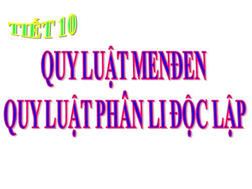 Bài 9. Quy luật Menđen: Quy luật phân li độc lập