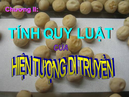 Bài 8. Quy luật Menđen: Quy luật phân li