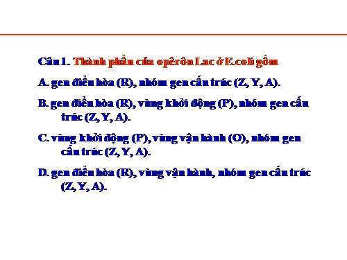 Bài 4. Đột biến gen