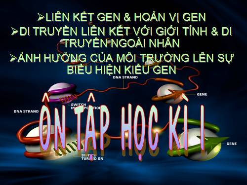 Bài 11. Liên kết gen và hoán vị gen