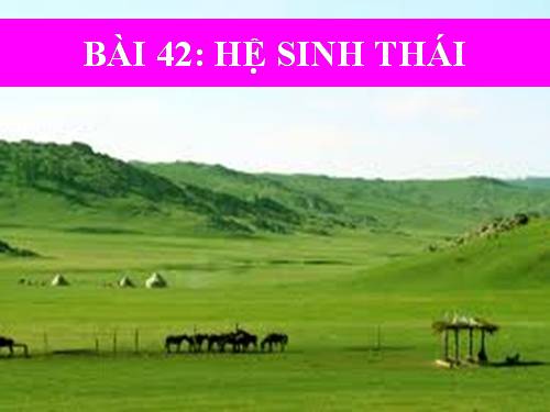 Bài 42. Hệ sinh thái