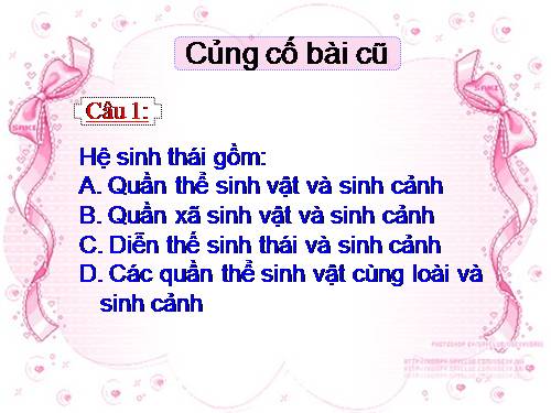 Bài 43. Trao đổi vật chất trong hệ sinh thái