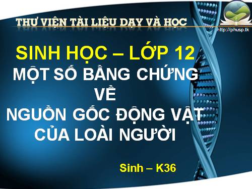 Bài 34. Sự phát sinh loài người