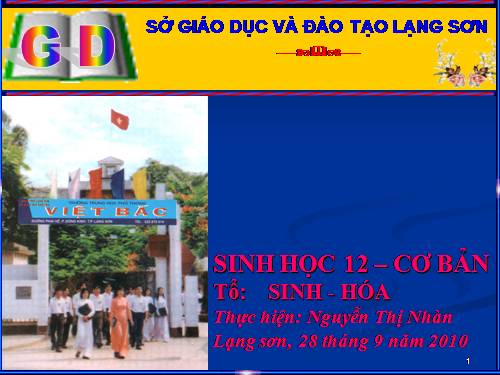 Bài 13. Ảnh hưởng của môi trường lên sự biểu hiện của gen