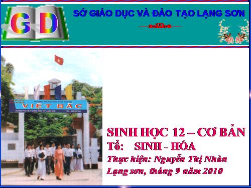 Bài 10. Tương tác gen và tác động đa hiệu của gen