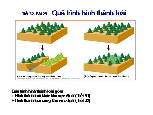 Bài 29. Quá trình hình thành loài