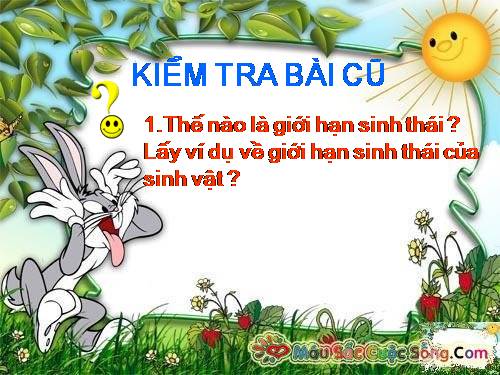 Bài 36. Quần thể sinh vật và mối quan hệ giữa các cá thể trong quần thể