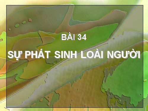 Bài 34. Sự phát sinh loài người