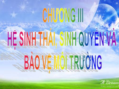 Bài 42. Hệ sinh thái