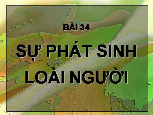 Bài 34. Sự phát sinh loài người