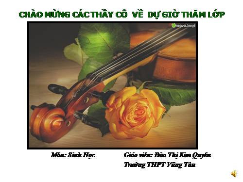 Bài 36. Quần thể sinh vật và mối quan hệ giữa các cá thể trong quần thể