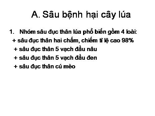 sau benh hai lua