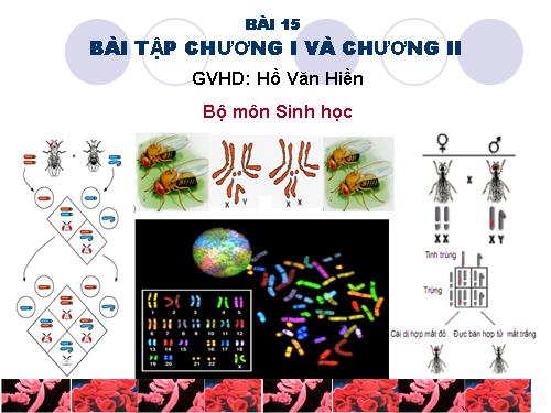 Bài 15. Bài tập chương I và chương II