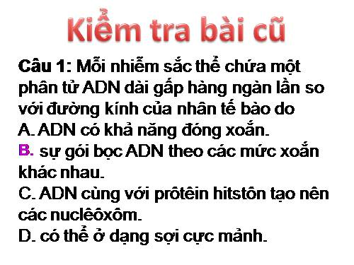 Bài 6. Đột biến số lượng nhiễm sắc thể