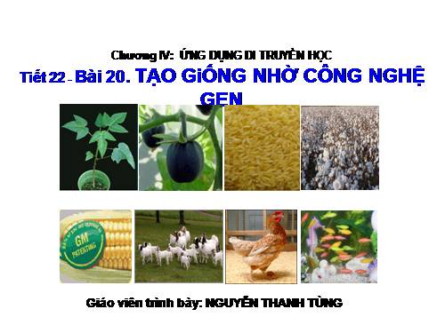 Bài 20. Tạo giống nhờ công nghệ gen