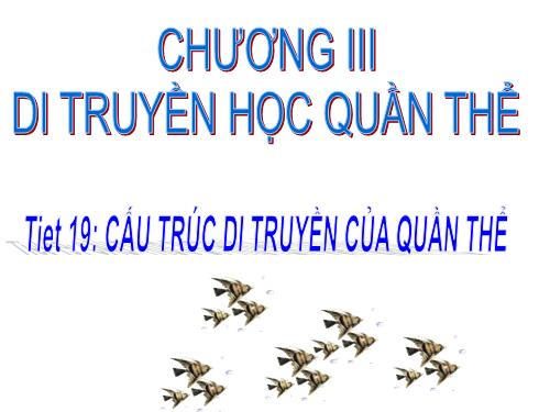 Bài 16. Cấu trúc di truyền của quần thể