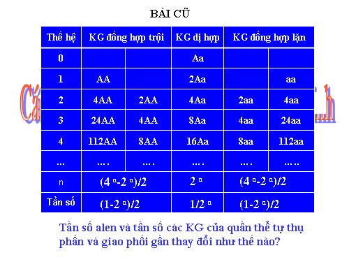 Bài 17. Cấu trúc di truyền của quần thể (tiếp theo)