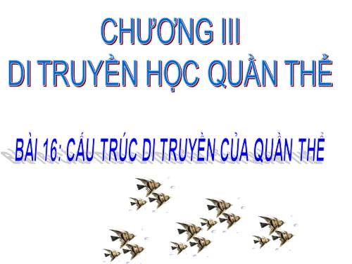 Bài 16. Cấu trúc di truyền của quần thể