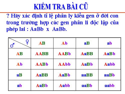 Bài 10. Tương tác gen và tác động đa hiệu của gen