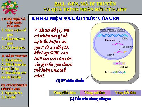 Bài 1. Gen, mã di truyền và quá trình nhân đôi ADN