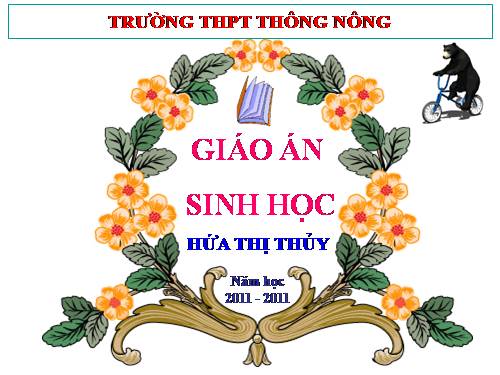 Bài 26. Học thuyết tiến hoá tổng hợp hiện đại