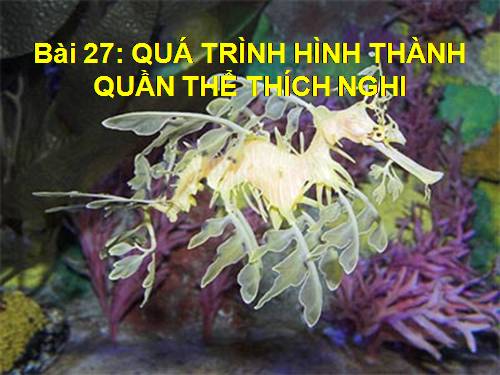 Bài 27. Quá trình hình thành quần thể thích nghi