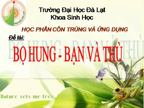 bọ hung và ứng dụng (côn trùng học)