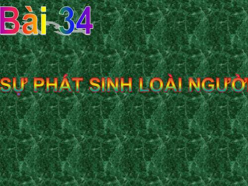 Bài 34. Sự phát sinh loài người