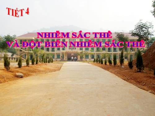 Bài 5. Nhiễm sắc thể và đột biến cấu trúc nhiễm sắc thể