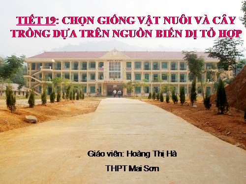 Bài 18. Chọn giống vật nuôi và cây trồng dựa trên nguồn biến dị tổ hợp