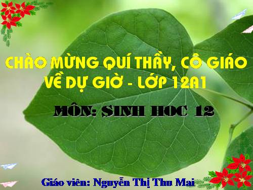 Bài 45. Dòng năng lượng trong hệ sinh thái và hiệu suất sinh thái