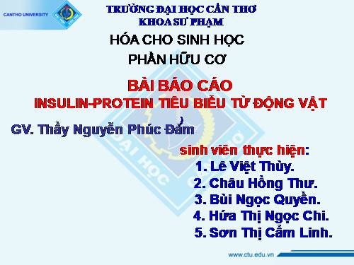 Bài 47. Ôn tập phần Tiến hóa và Sinh thái học