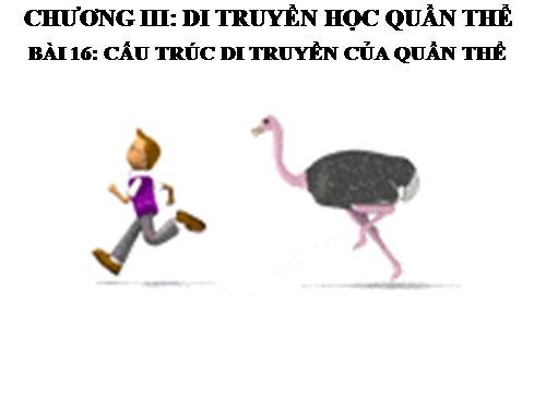 Bài 16. Cấu trúc di truyền của quần thể