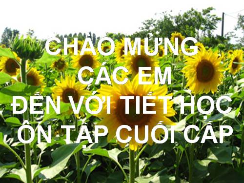 ôn tập cuối cấp