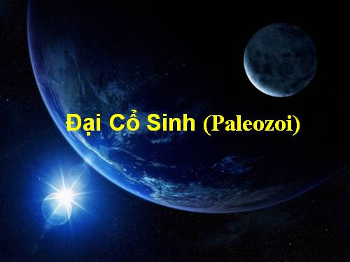 nghiên cứu ĐẠI CỔ SINH