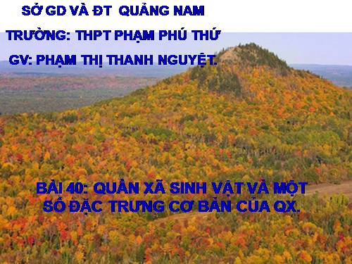 Bài 40. Quần xã sinh vật và một số đặc trưng cơ bản của quần xã