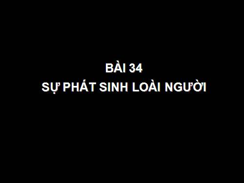 Bài 34. Sự phát sinh loài người