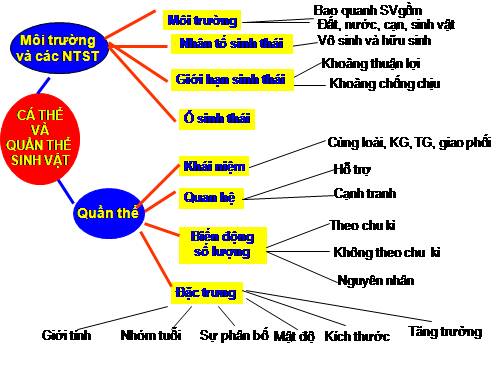 sơ đồ ôn tập KT 1 tiết