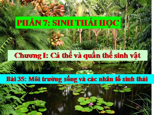 Bài 35. Môi trường sống và các nhân tố sinh thái