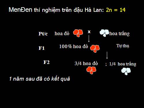 Bài 21. Di truyền y học