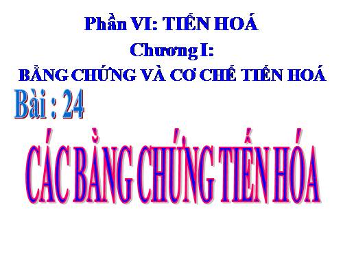 Bài 24. Các bằng chứng tiến hoá