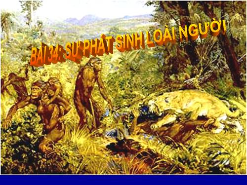 Bài 34. Sự phát sinh loài người