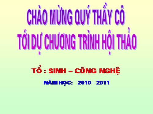 Bài 24. Các bằng chứng tiến hoá