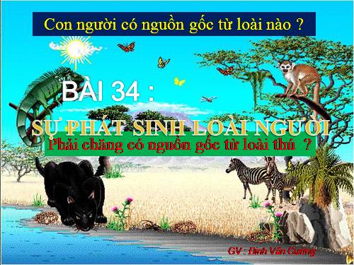 Bài 34. Sự phát sinh loài người