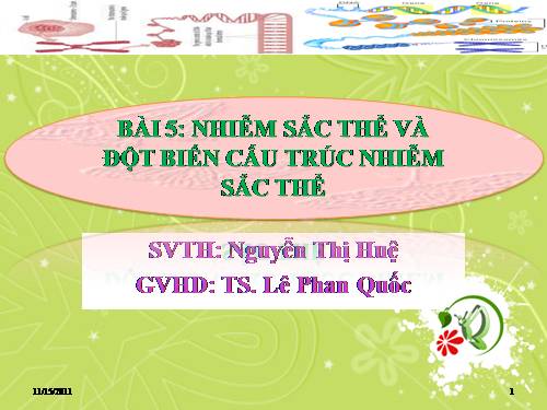 Bài 5. Nhiễm sắc thể và đột biến cấu trúc nhiễm sắc thể