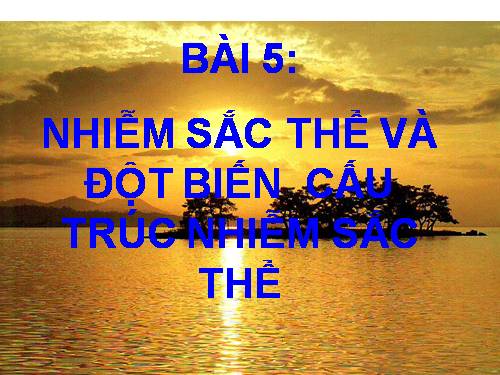 Bài 5. Nhiễm sắc thể và đột biến cấu trúc nhiễm sắc thể