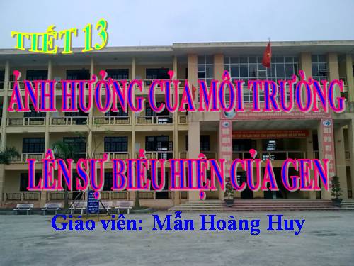 Bài 13. Ảnh hưởng của môi trường lên sự biểu hiện của gen