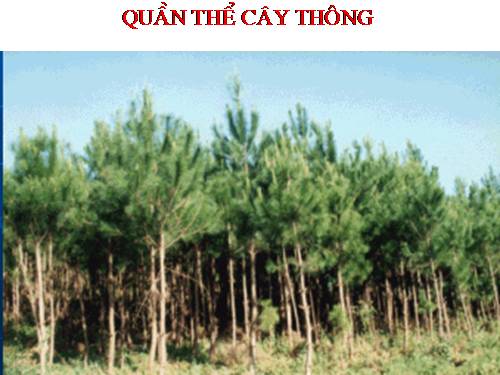 Bài 16. Cấu trúc di truyền của quần thể